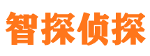 休宁侦探公司